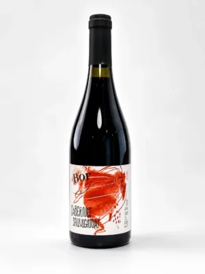 GáBor Cabernet Sauvignon 2025